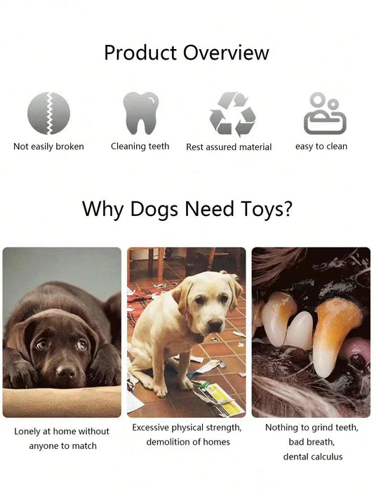 Hot Dog Plush Squeaky Chew Toy for Dogs