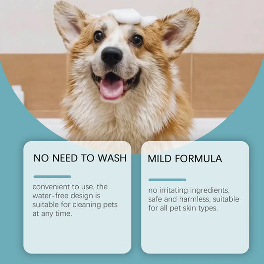 Waterless Pet Dry Shampoo Spray