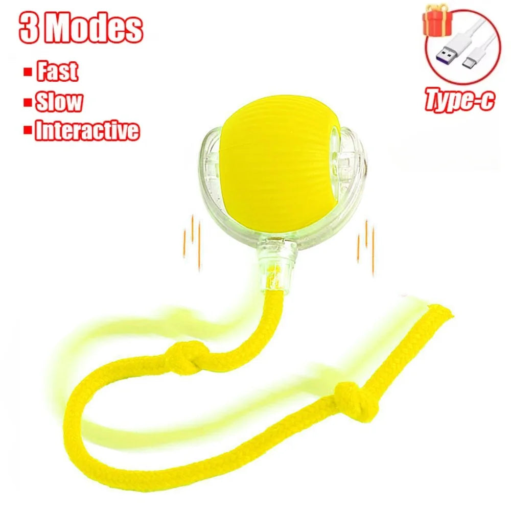 Smart Interactive Cat Ball Toy
