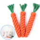 Carrot Dog Bite Rope Chew Toy