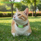Waterproof 4G GPS Pet Tracker Collar