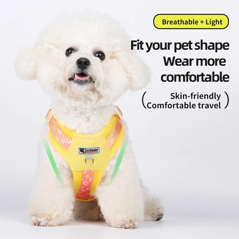 Adjustable Dog Harness Leash Set