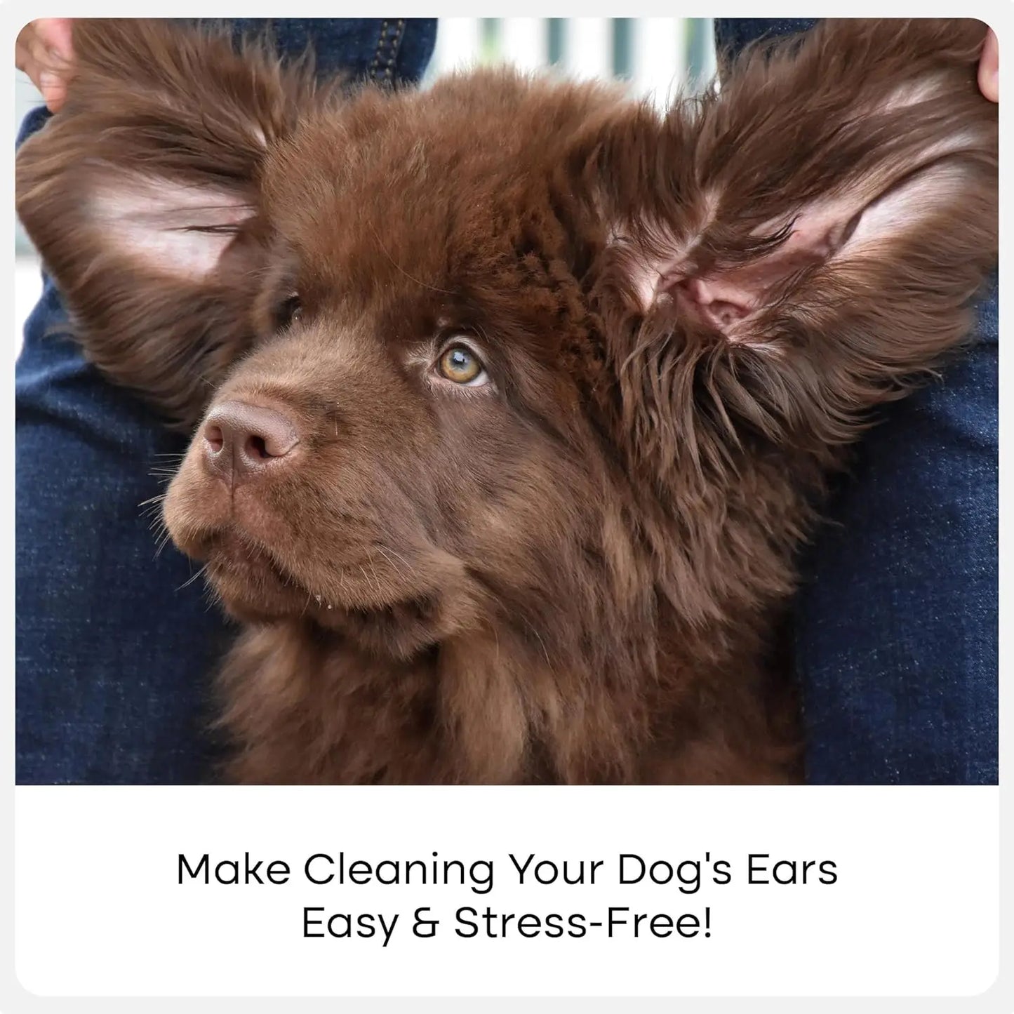 Pet Ear Cleaner Finger Wipes