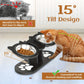Tilted Elevated Stainless Steel Pet Bowls