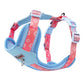 Adjustable Dog Harness Leash Set