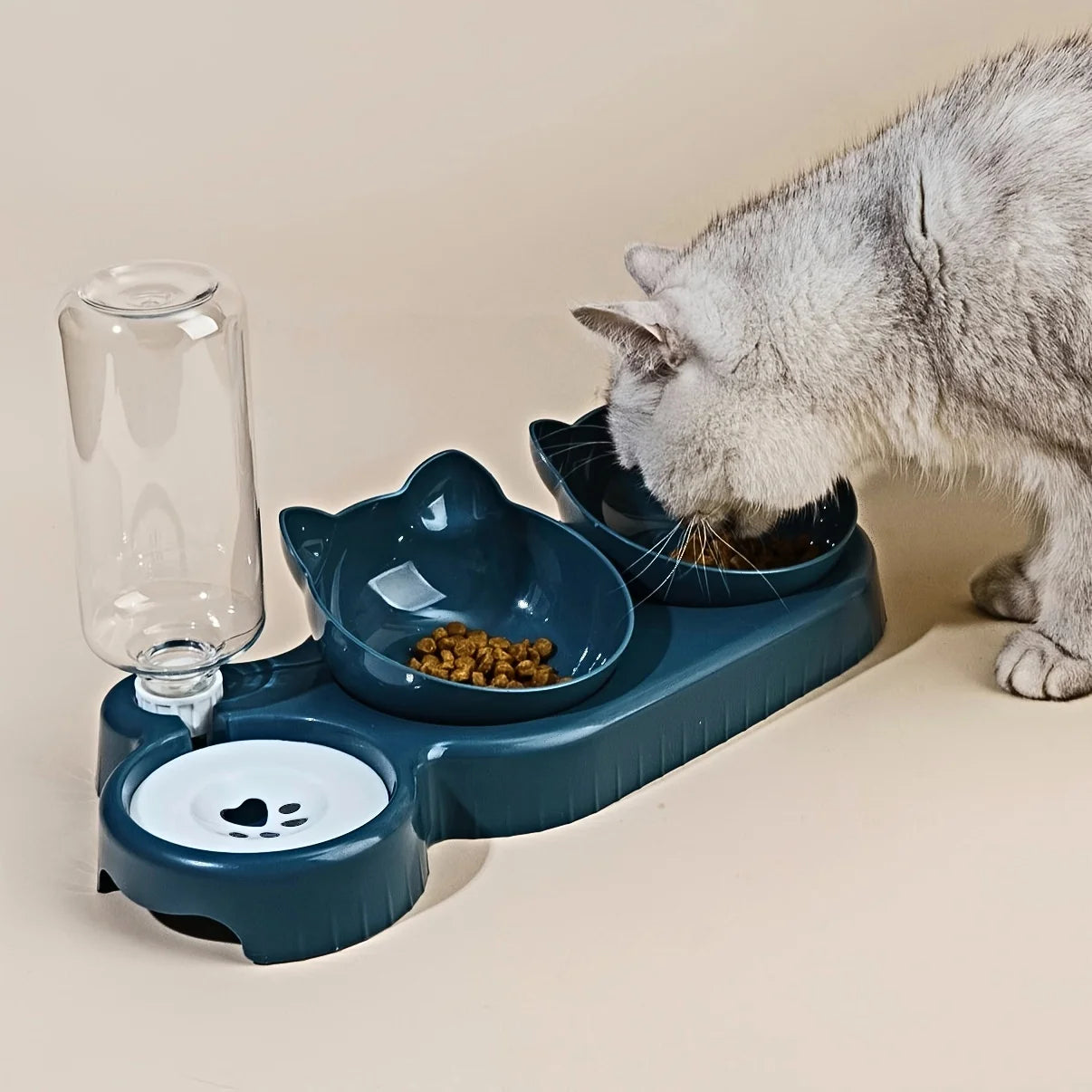 Pet Bowls With Water Feeder 3-in-1