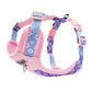Adjustable Dog Harness Leash Set