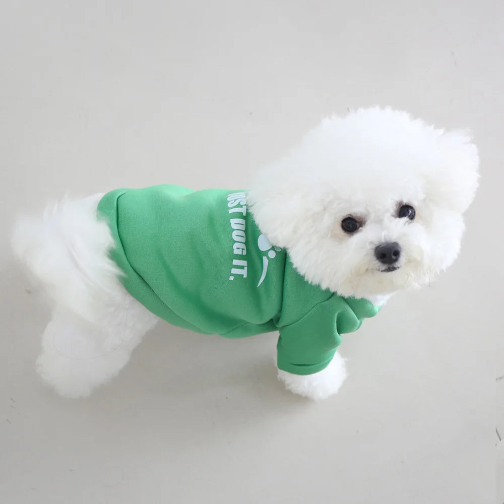 Cute Velvet Pet Hoodie