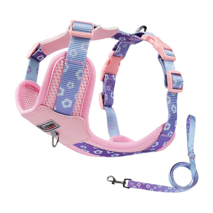 Adjustable Dog Harness Leash Set