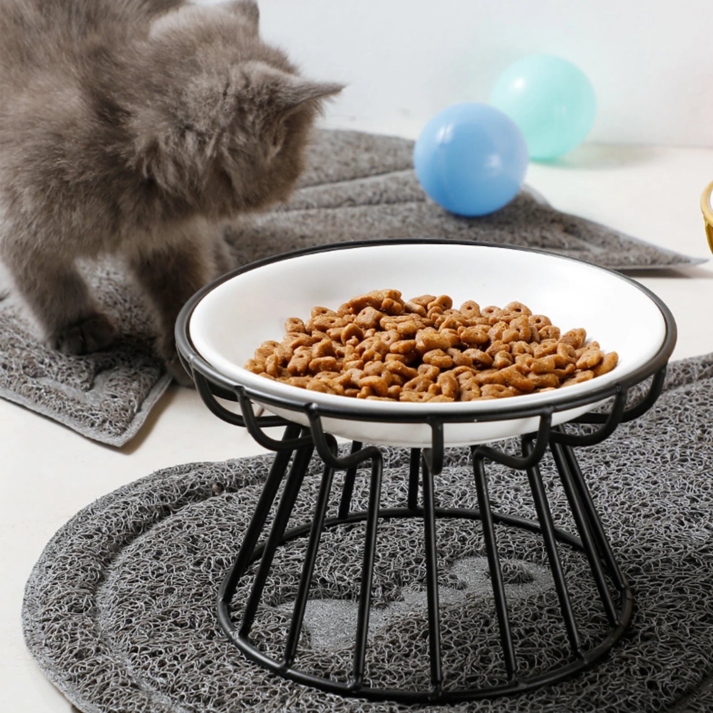 Wide Ceramic Pet Food & Water Bowl