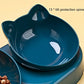Pet Bowls With Water Feeder 3-in-1