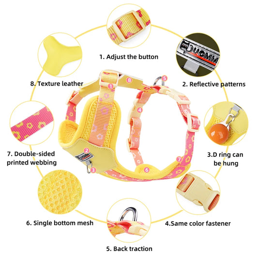 Adjustable Dog Harness Leash Set