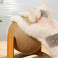 Wooden Sisal Cat Scratching Ball