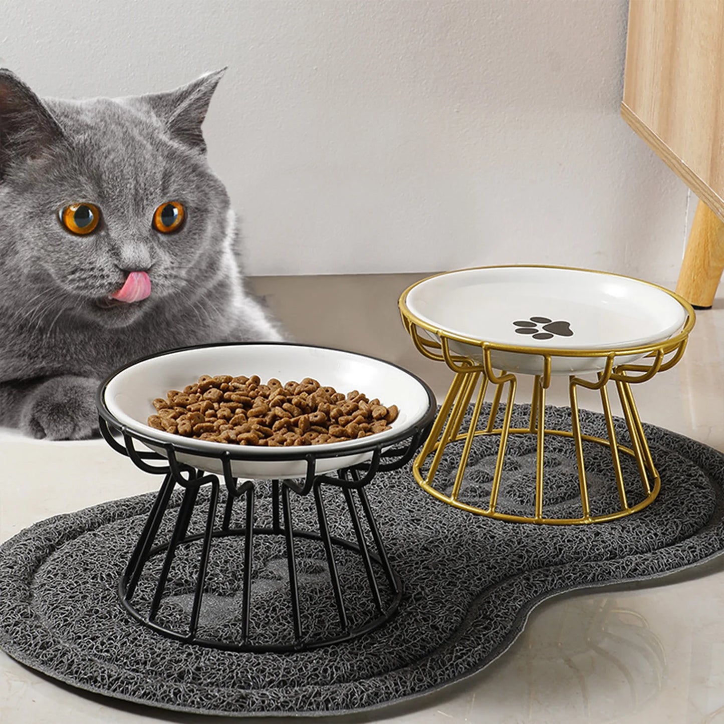 Wide Ceramic Pet Food & Water Bowl