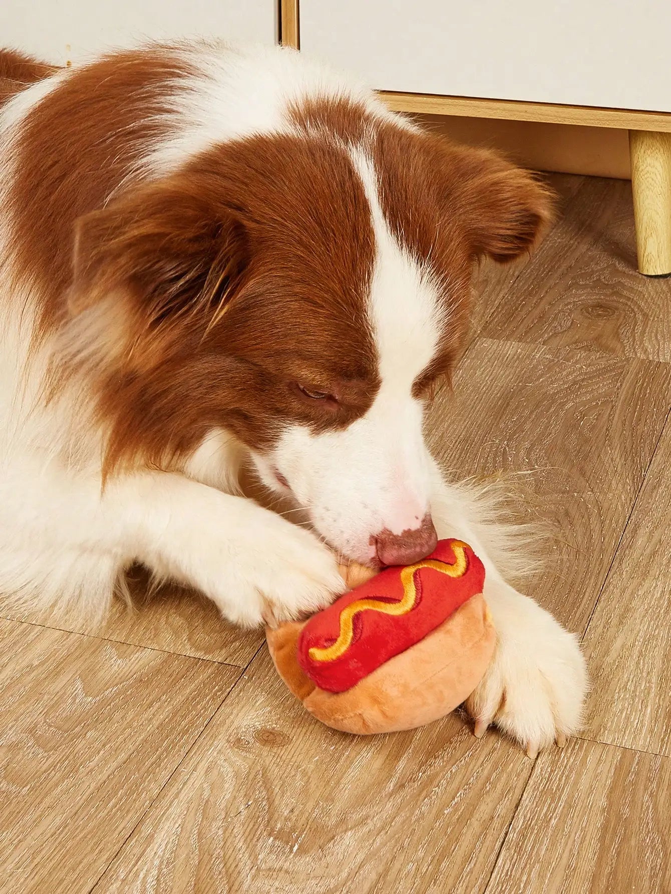 Hot Dog Plush Squeaky Chew Toy for Dogs