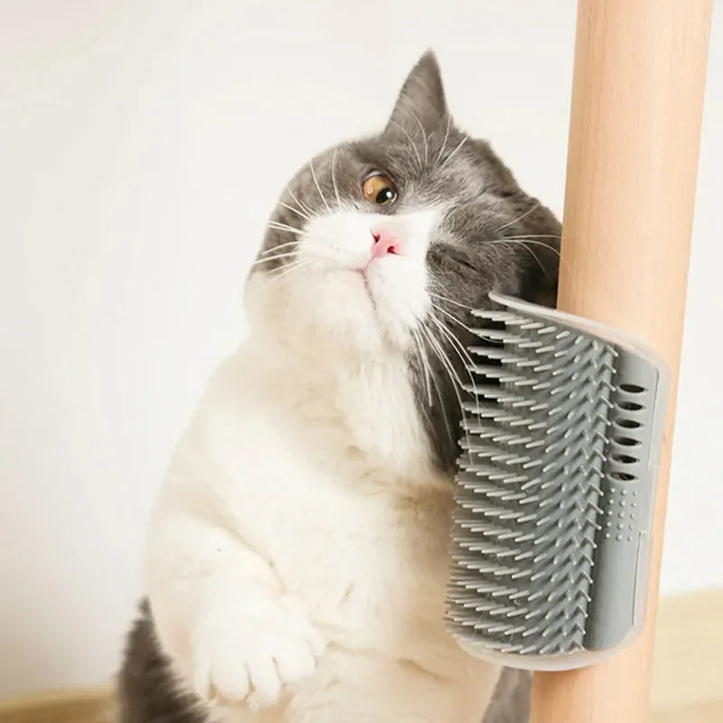 Self Grooming Cat Wall Brush
